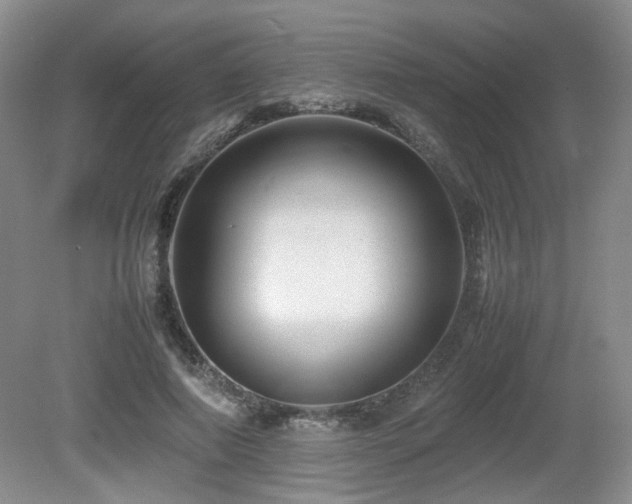 X0000080680690200612151223