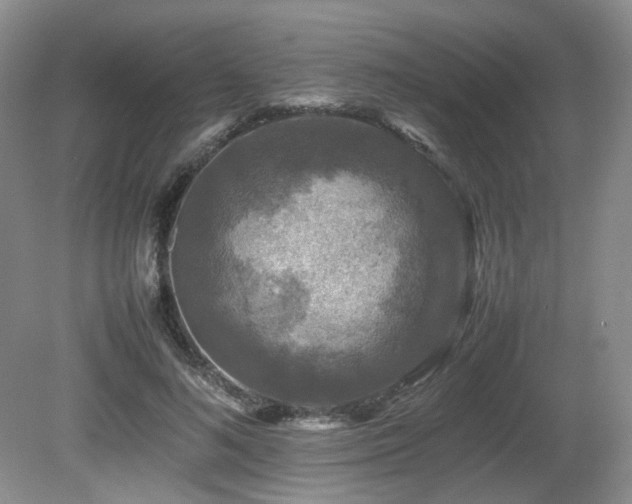 X0000080680692200612151223