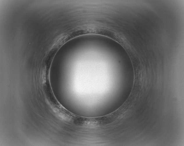 X0000080680694200612151223