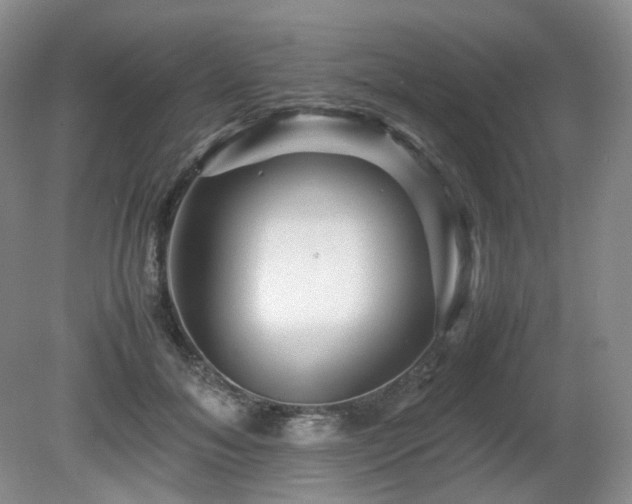 X0000080680700200612151223