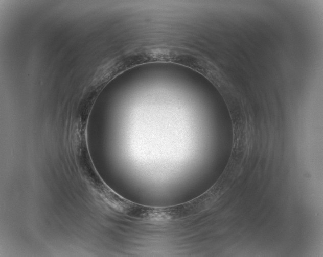 X0000080680702200612151223