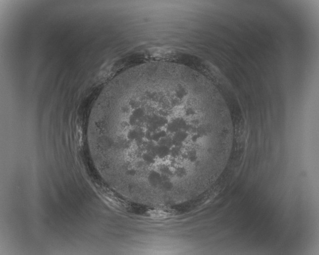 X0000080680703200612151223