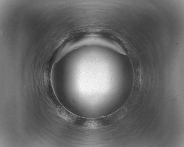 X0000080680704200612151223