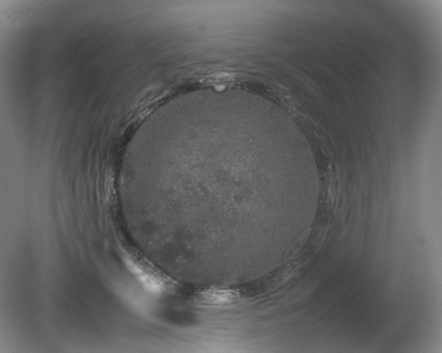 X0000080680711200612151223