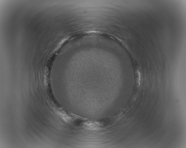 X0000080680712200612151223