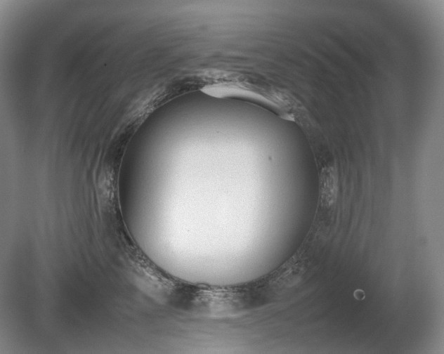 X0000080680713200612151223