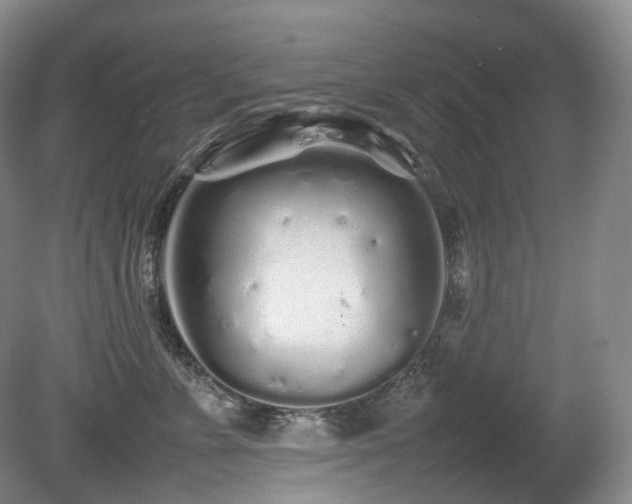 X0000080680715200612151223