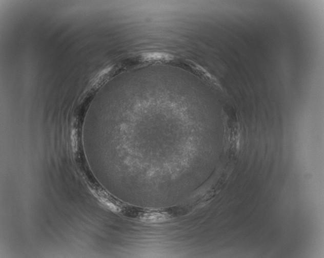 X0000080680716200612151223