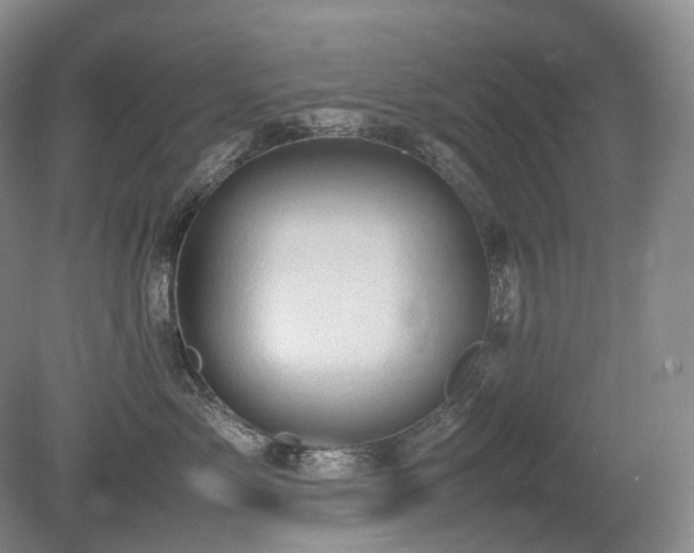 X0000080680717200612151223