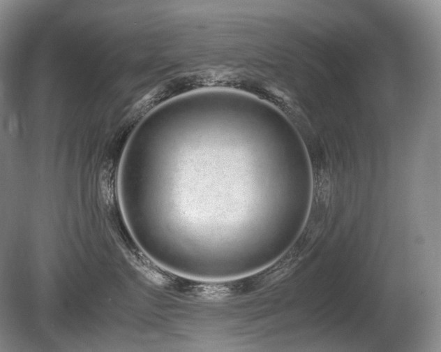 X0000080680719200612151223