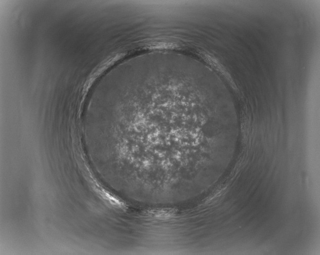 X0000080680721200612151222