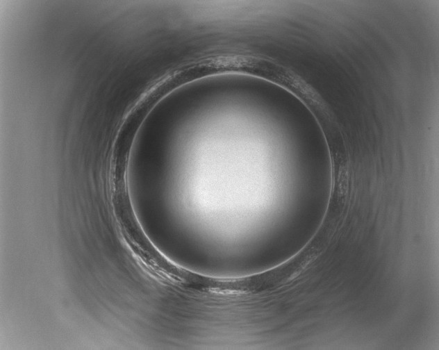 X0000080680722200612151222