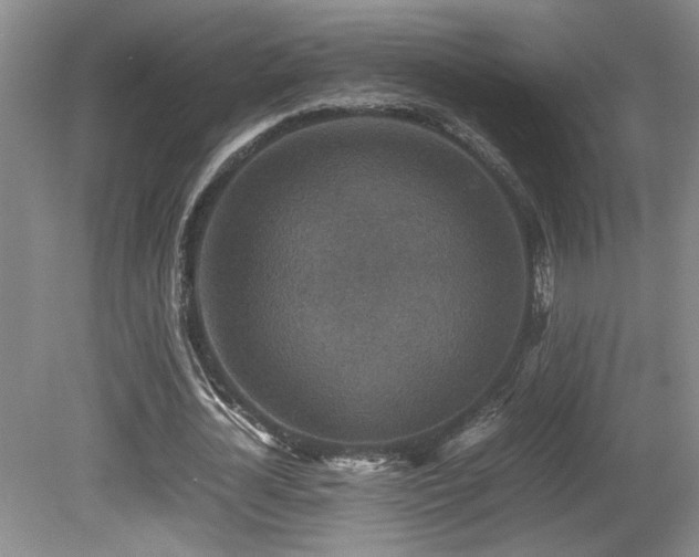 X0000080680724200612151222
