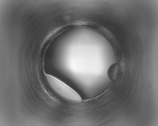 X0000080680732200612151222