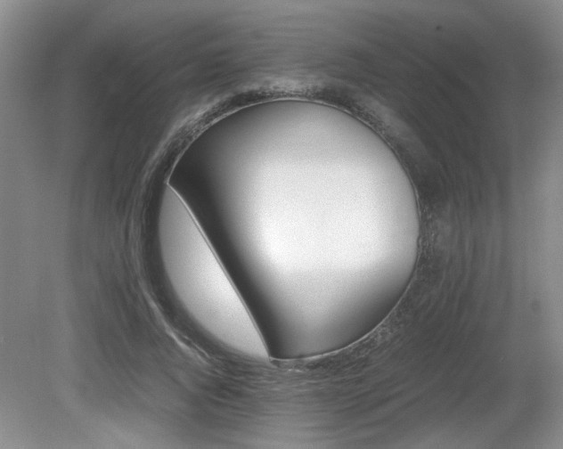 X0000080680736200612151222