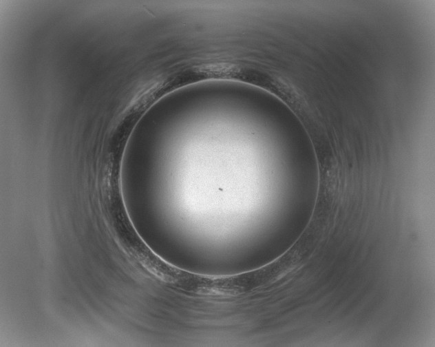 X0000080680739200612151222