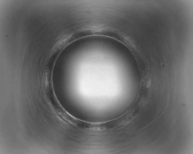 X0000080680740200612151222