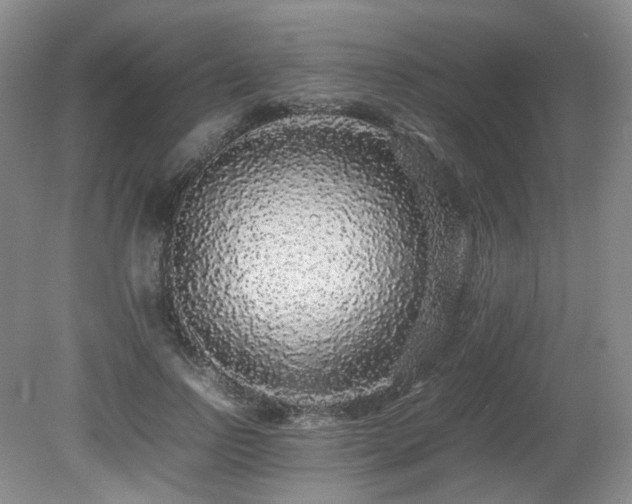 X0000080680742200612151222