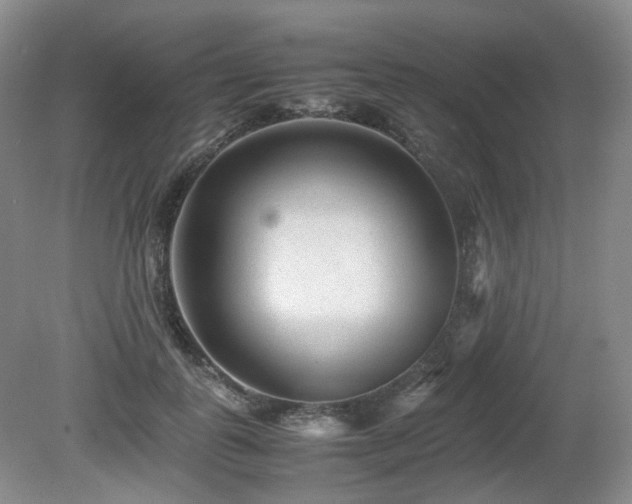 X0000080680747200612151222