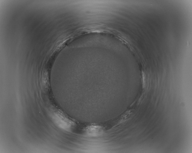 X0000080680748200612151222