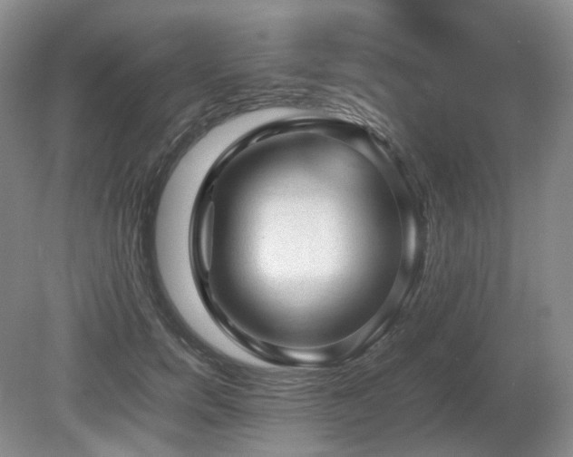 X0000080680750200612151222