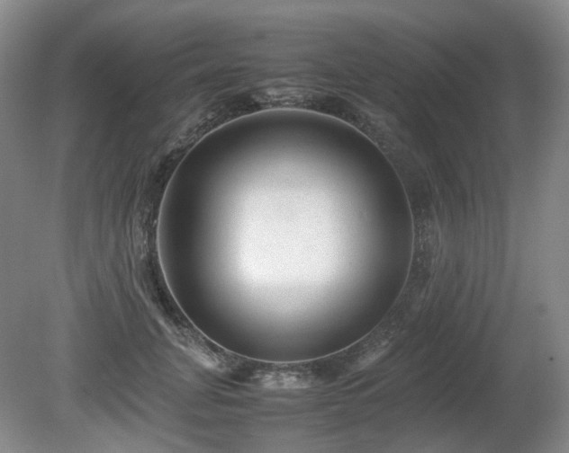 X0000080680751200612151222