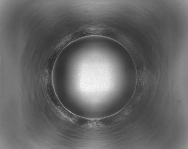 X0000080680752200612151222