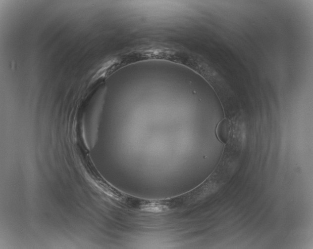 X0000080680754200612151222