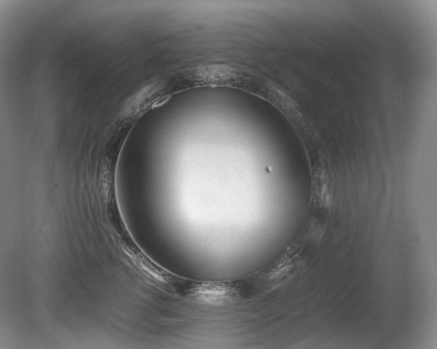 X0000080680762200612151223