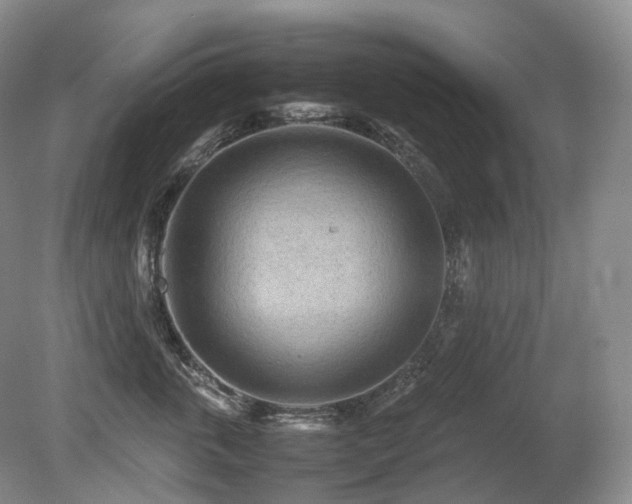 X0000080680763200612151223