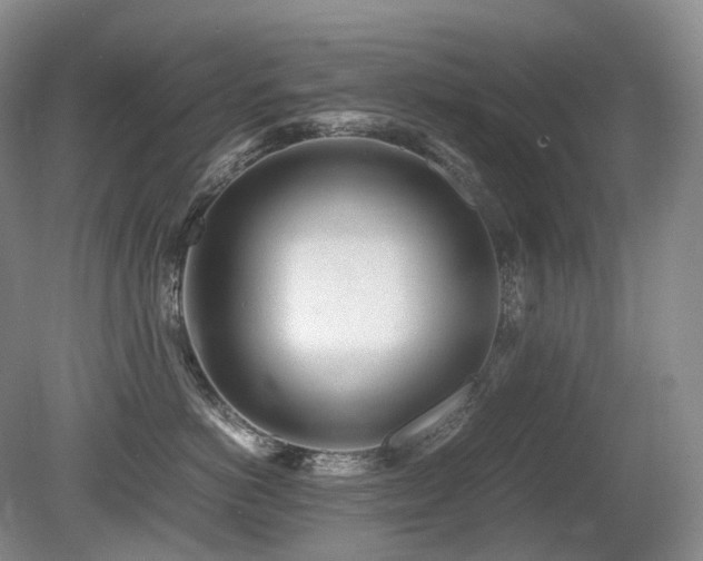 X0000080680766200612151223
