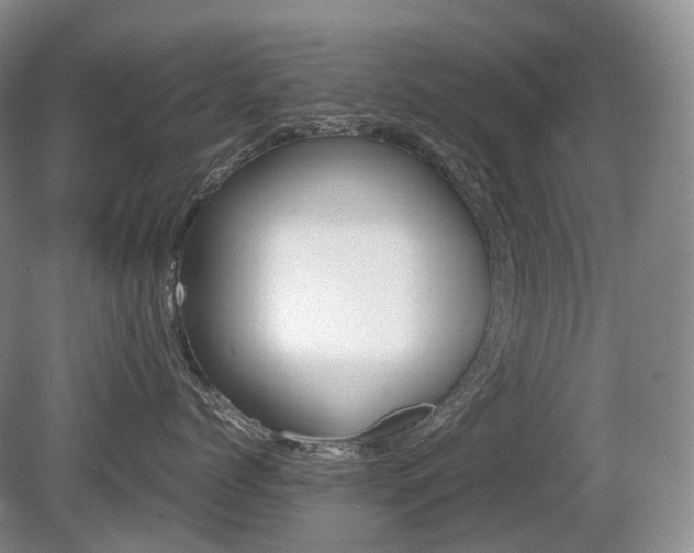 X0000080680768200612151223