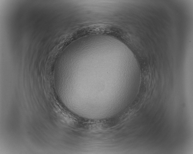 X0000080680769200612151222