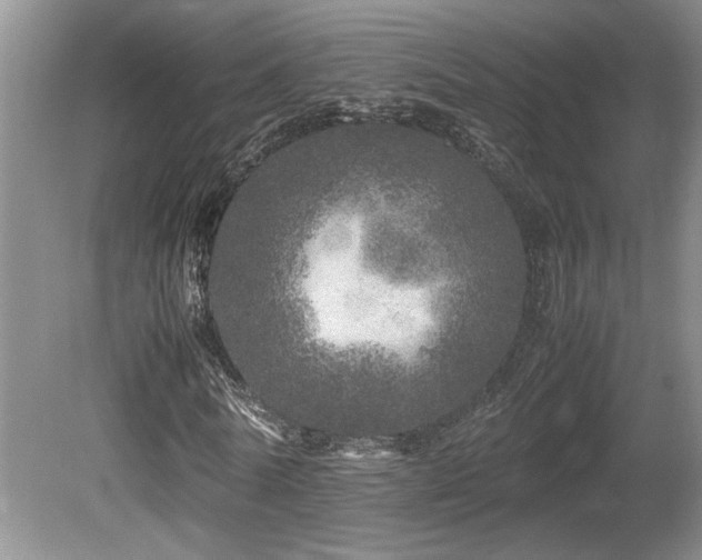 X0000080680770200612151222