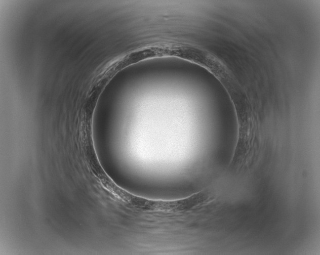 X0000080680773200612151222