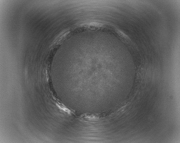 X0000080680774200612151222