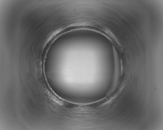 X0000080680781200612151222
