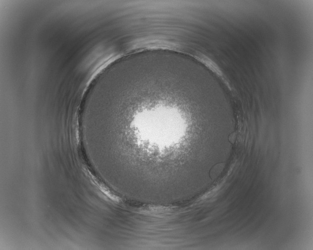 X0000080680782200612151222