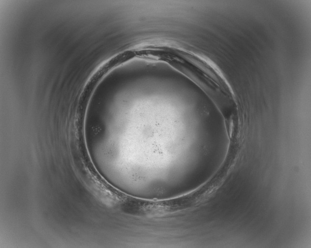X0000080680783200612151222