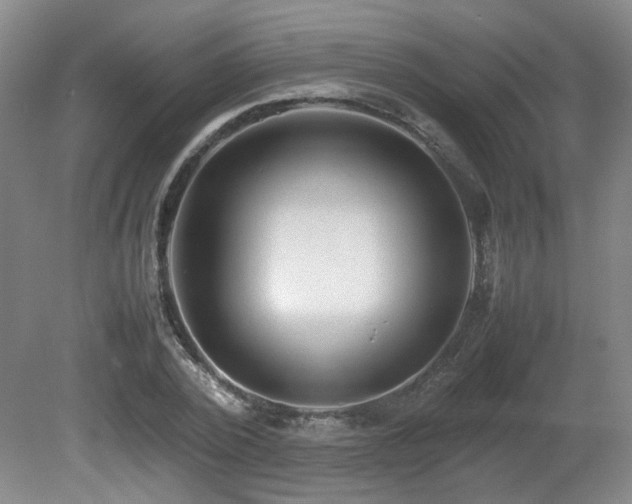 X0000080680784200612151222