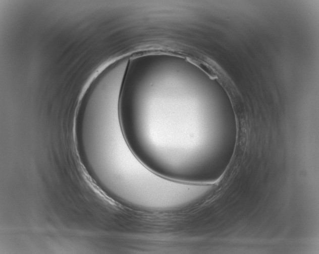X0000080680788200612151221