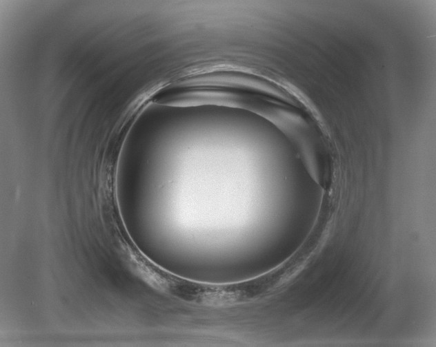 X0000080680793200612151221