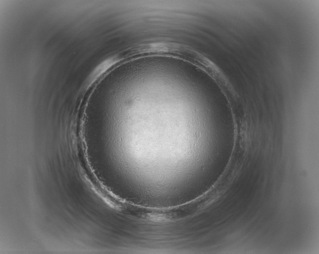 X0000080680794200612151221