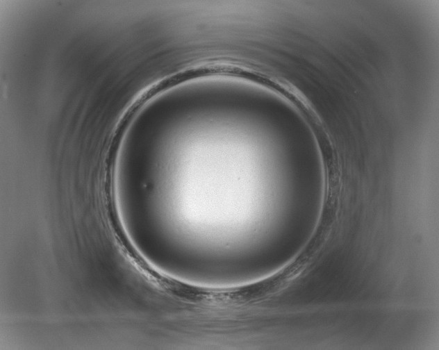 X0000080680799200612151221