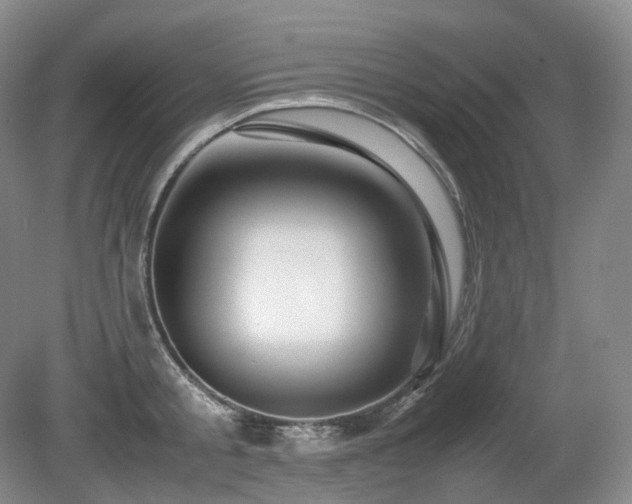 X0000080680805200612151221