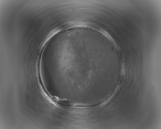 X0000080680806200612151221