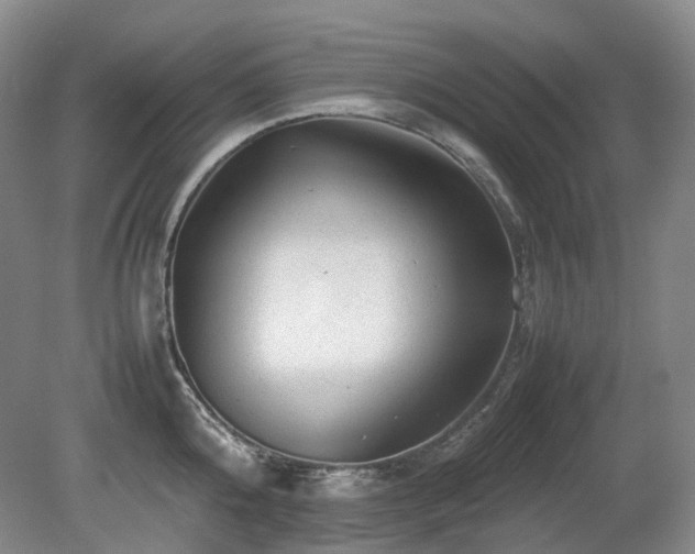 X0000080680808200612151221
