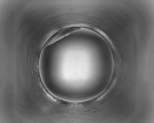 X0000080680809200612151221