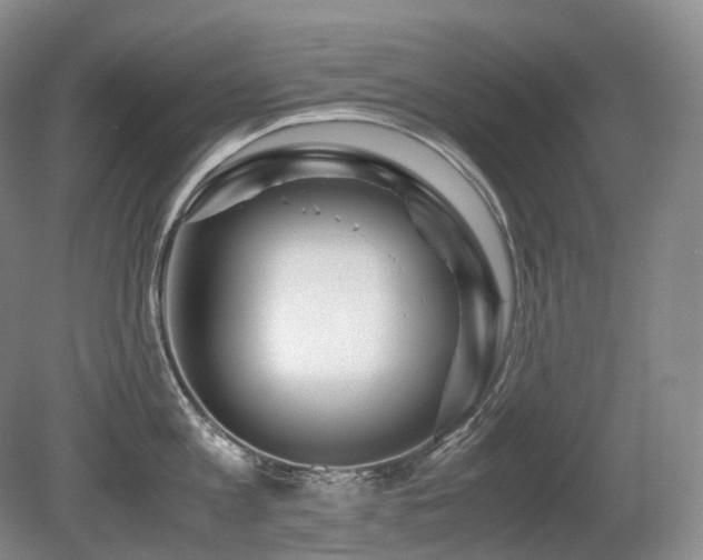 X0000080680813200612151221