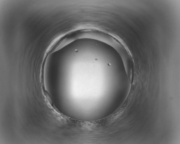 X0000080680815200612151221